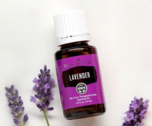 lavender_graphic